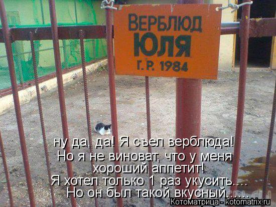 ну да, да! Я съел верблюда! Но я не виноват, что у меня хороший аппетит! Я хотел только 1 раз укусить... Котоматрица: ну да, да! Я съел верблюда! Но я не виноват, что у меня хороший аппетит! Я хотел только 1 раз укусить.... Но он был такой вкусный......