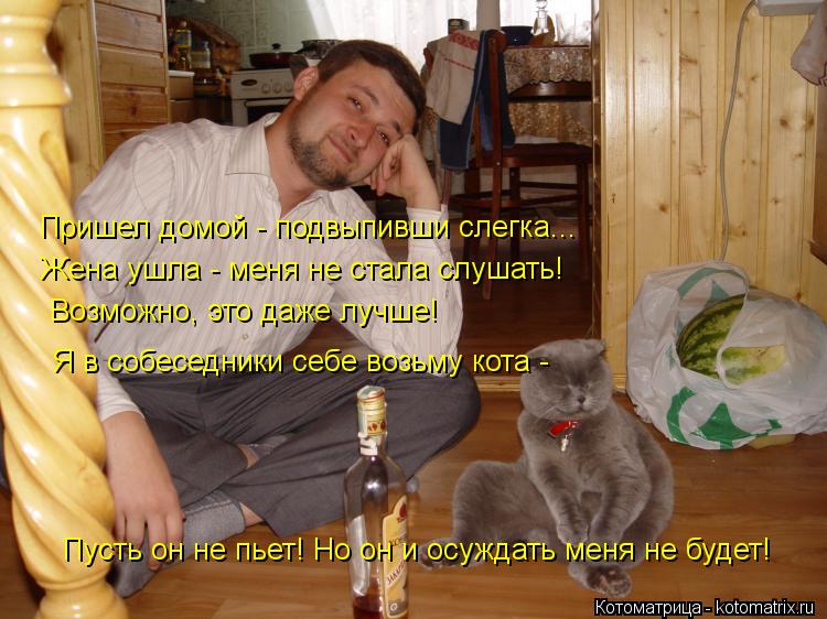 Котоматрица: Пришел домой - подвыпивши слегка... Жена ушла - меня не стала слушать! Возможно, это даже лучше! Я в собеседники себе возьму кота - Пусть он не п