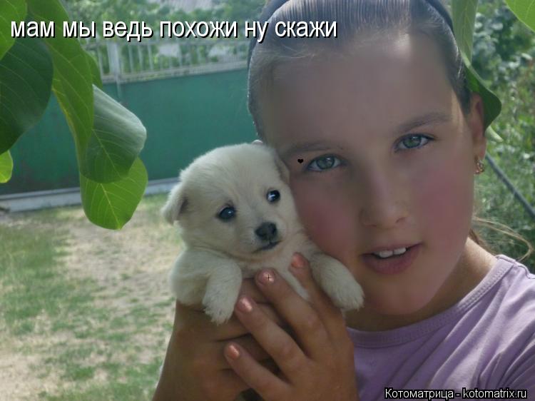 мам мы ведь похожи ну скажи... Котоматрица: мам мы ведь похожи ну скажи