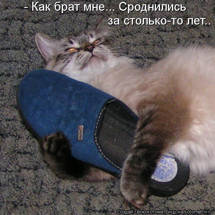 - Как брат мне... Сроднились за столько-то лет..... Котоматрица: - Как брат мне... Сроднились за столько-то лет..