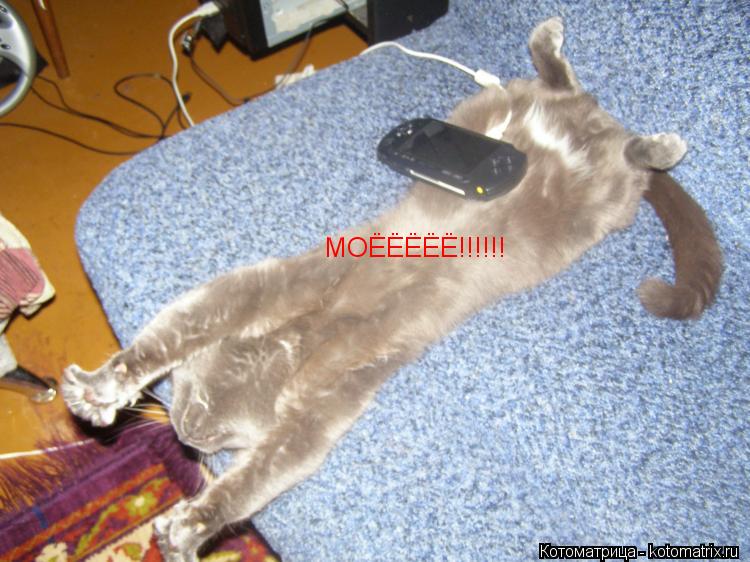 Котоматрица: МОЁЁЁЁЁ!!!!!!