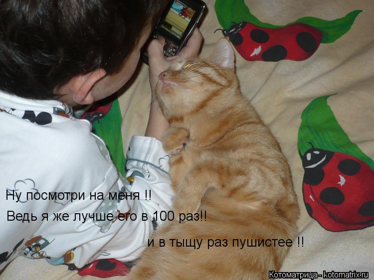 Котоматрица: Ну посмотри на меня !!  Ведь я же лучше его в 100 раз!!  и в тыщу раз пушистее !!