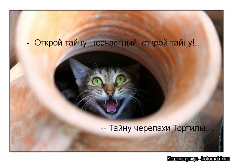 - Открой тайну, несчастный, открой тайну!.. -- Тайну черепахи Тортилы........ Котоматрица: - Открой тайну, несчастный, открой тайну!.. -- Тайну черепахи Тортилы.....