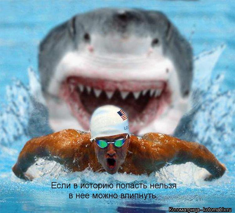 Котоматрица: Если в историю попасть нельзя в нее можно влипнуть.