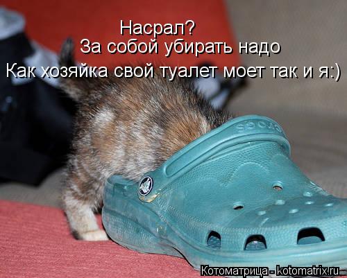 Котоматрица: Насрал?  За собой убирать надо  Как хозяйка свой туалет моет так и я:)