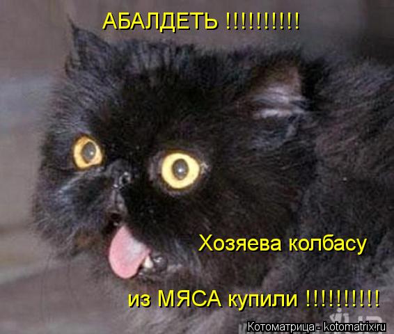 Котоматрица: АБАЛДЕТЬ !!!!!!!!!! Хозяева колбасу из МЯСА купили !!!!!!!!!!