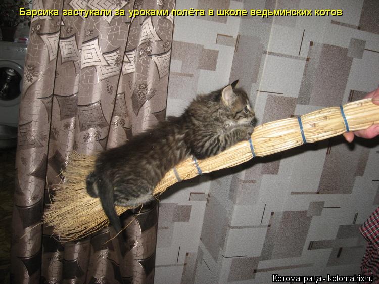 Котоматрица: Барсика застукали за уроками полёта в школе ведьминских котов