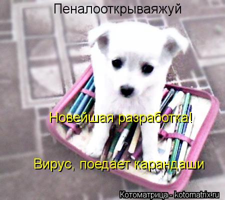 Котоматрица: Пеналооткрываяжуй   Новейшая разработка! Вирус, поедает карандаши