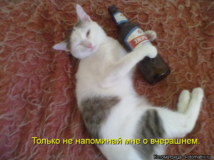 Котоматрица: Только не напоминай мне о вчерашнем.