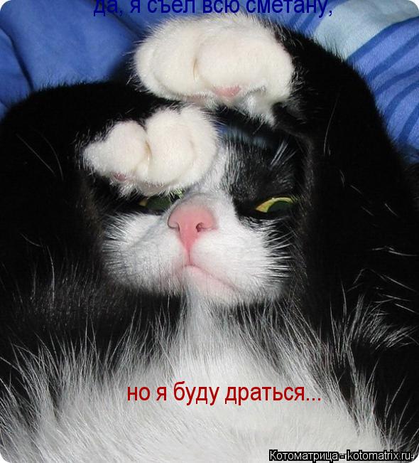 Котоматрица: но я буду драться...  да, я съел всю сметану,