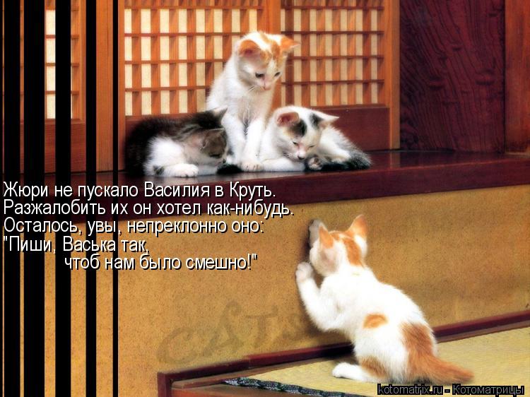 Котоматрица: Жюри не пускало Василия в Круть. Разжалобить их он хотел как-нибудь. Осталось, увы, непреклонно оно: "Пиши, Васька так,  чтоб нам было смешно!"