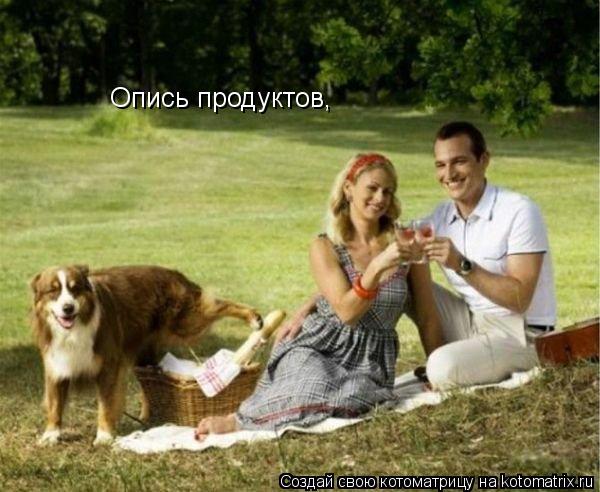 Опись продуктов,... Котоматрица: Опись продуктов,