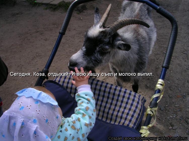 Сегодня, Коза, отдыхай. Я всю кашу съел и молоко выпил.... Котоматрица: Сегодня, Коза, отдыхай. Я всю кашу съел и молоко выпил.