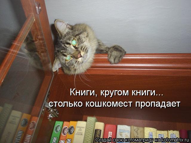 Книги, кругом книги... столько кошкомест пропадает... Котоматрица: Книги, кругом книги... столько кошкомест пропадает