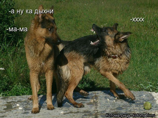 Котоматрица: -а ну ка дыхни -хххх -ма-ма