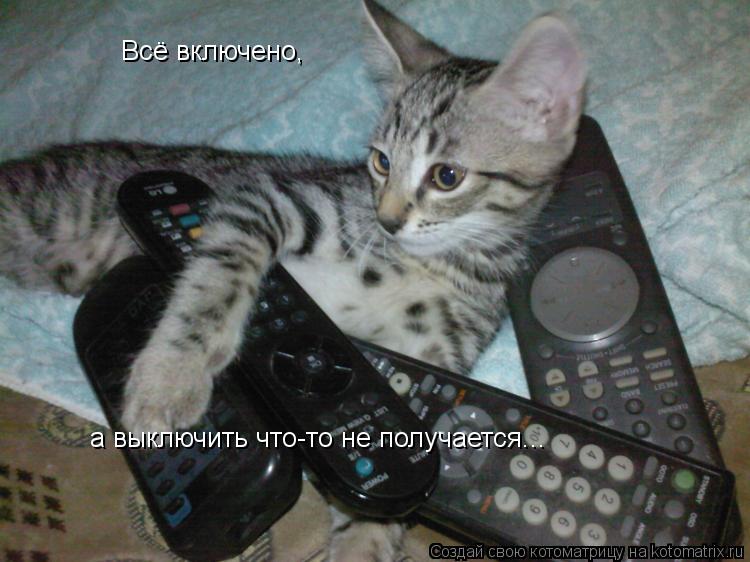 Котоматрица: Всё включено, а выключить что-то не получается...
