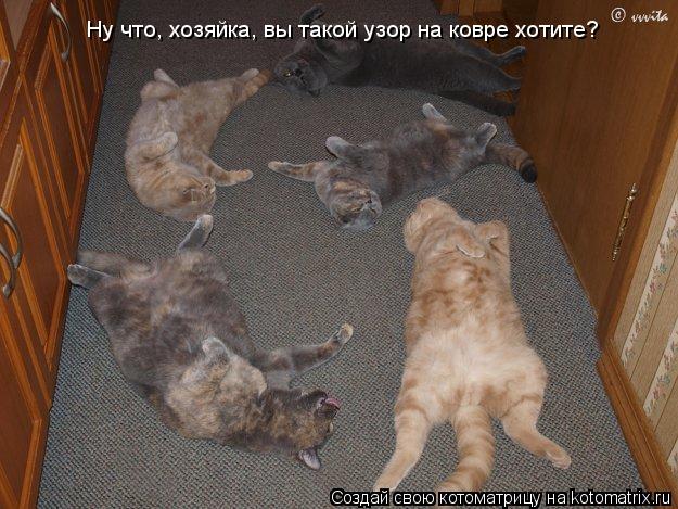 Котоматрица: Ну что, хозяйка, вы такой узор на ковре хотите?