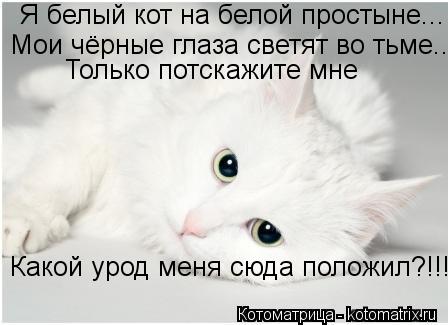 Я белый кот на белой простыне... Мои чёрные глаза светят во тьме... Только потскажите мне Какой урод ... Котоматрица: Я белый кот на белой простыне... Мои чёрные глаза светят во тьме... Только потскажите мне Какой урод меня сюда положил?!!!