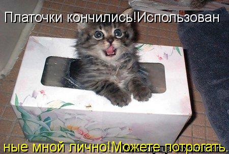 Котоматрица: Платочки кончились!Использован ные мной лично!Можете потрогать.
