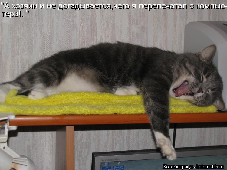 "А хозяин и не догадывается,чего я перепечатал с компью- тера!.."... Котоматрица: "А хозяин и не догадывается,чего я перепечатал с компью- тера!.."