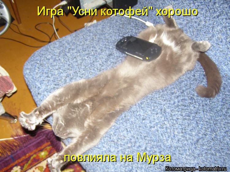 Котоматрица: Игра "Усни котофей" хорошо  повлияла на Мурза