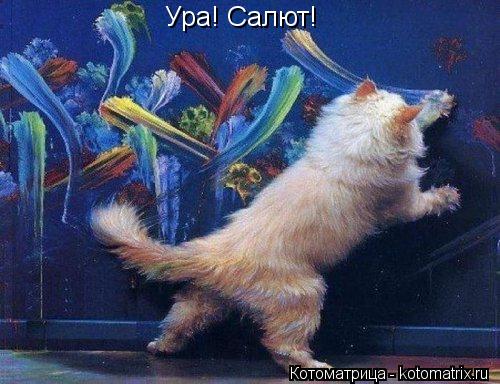 Котоматрица: Ура! Салют!
