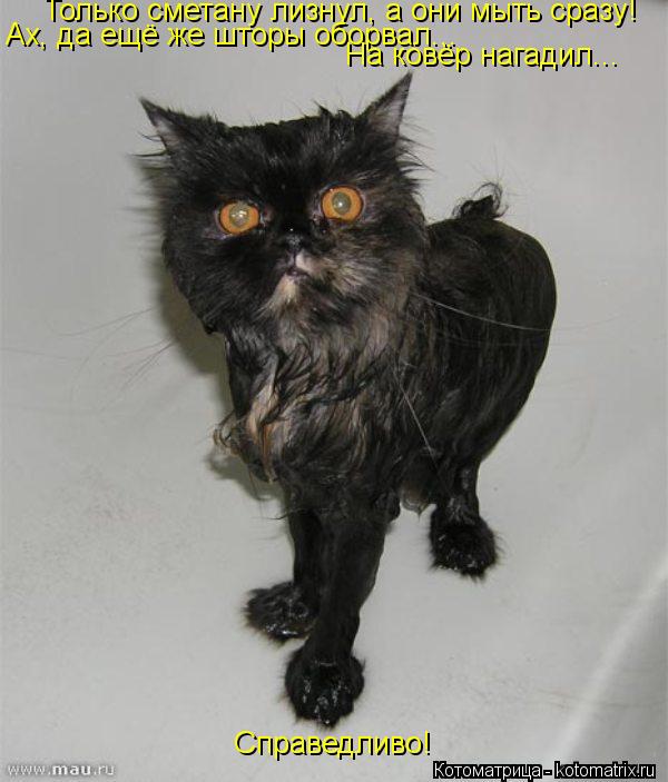 Котоматрица: Только сметану лизнул, а они мыть сразу! Ах, да ещё же шторы оборвал... На ковёр нагадил... Оу... Справедливо!