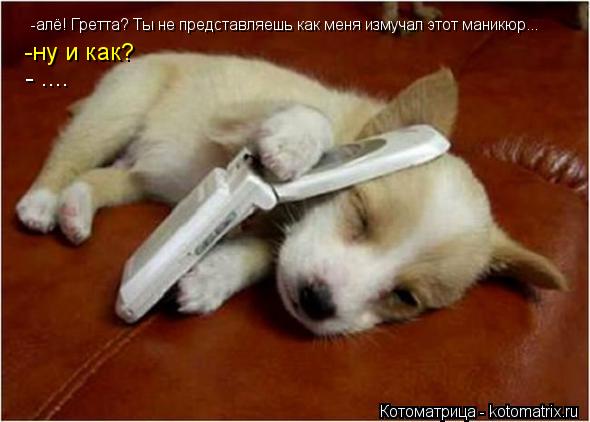 Котоматрица: -алё! Гретта? Ты не представляешь как меня измучал этот маникюр... -ну и как? - ....