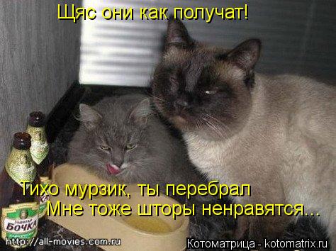 Котоматрица: Щяс они как получат! Тихо мурзик, ты перебрал Мне тоже шторы ненравятся...
