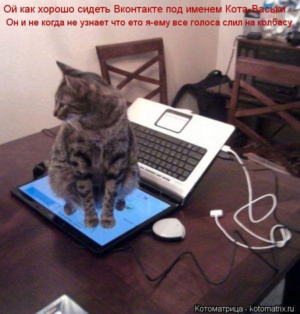 Котоматрица: Ой как хорошо сидеть Вконтакте под именем Кота-Васьки  Он и не когда не узнает что ето я-ему все голоса слил на колбасу.