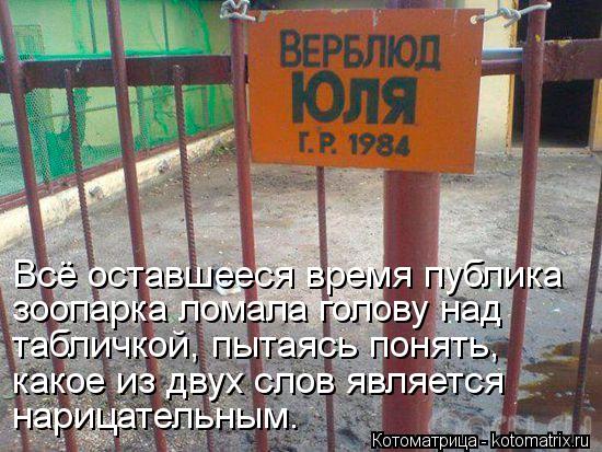 Всё оставшееся время публика зоопарка ломала голову над табличкой, пытаясь понять, какое из двух слов... Котоматрица: Всё оставшееся время публика зоопарка ломала голову над табличкой, пытаясь понять, какое из двух слов является нарицательным.