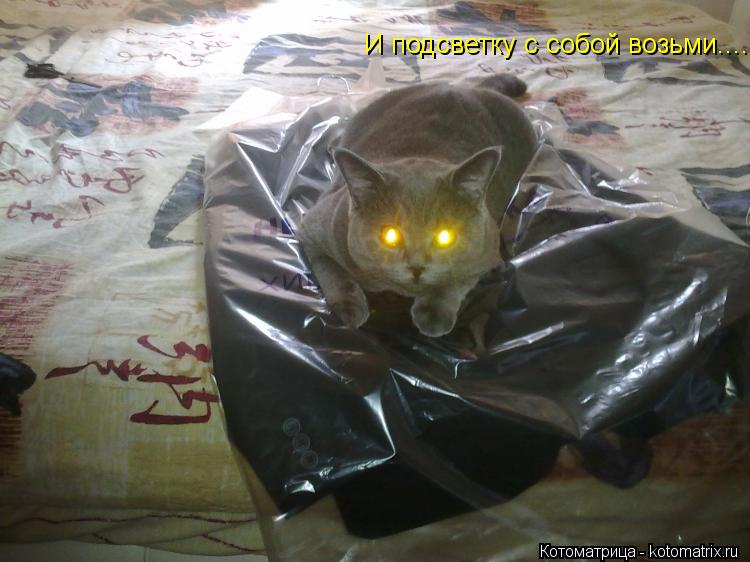 Котоматрица: И подсветку с собой возьми.....