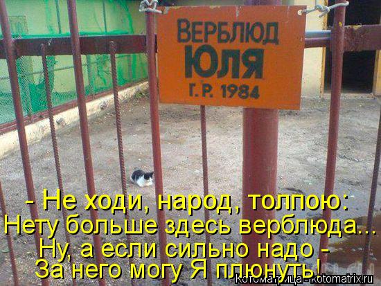 - Не ходи, народ, толпою: Нету больше здесь верблюда... Ну, а если сильно надо - За него могу Я плю... Котоматрица: - Не ходи, народ, толпою: Нету больше здесь верблюда... Ну, а если сильно надо - За него могу Я плюнуть!
