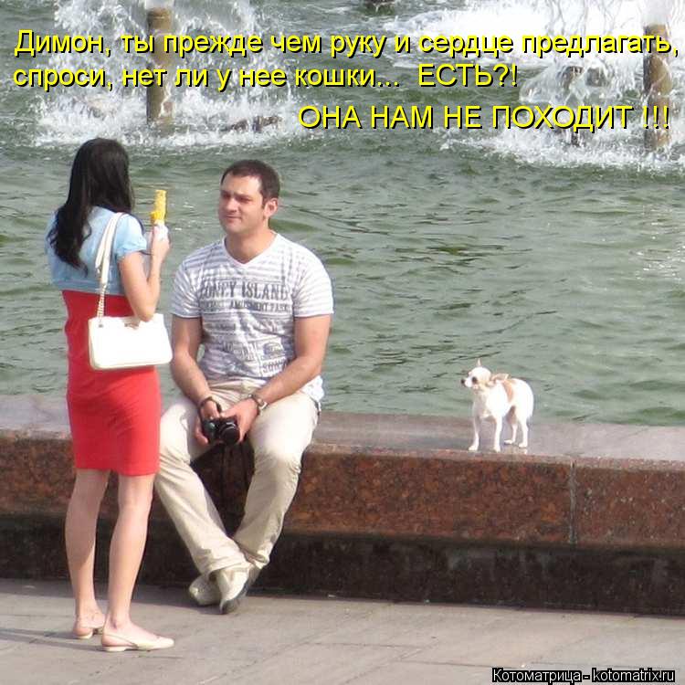 Димон, ты прежде чем руку и сердце предлагать, спроси, нет ли у нее кошки... ЕСТЬ?! ОНА НАМ НЕ ПОХОД... Котоматрица: Димон, ты прежде чем руку и сердце предлагать, спроси, нет ли у нее кошки... ЕСТЬ?! ОНА НАМ НЕ ПОХОДИТ !!!
