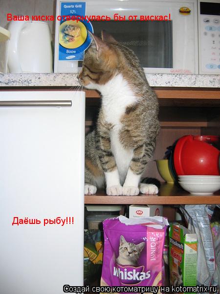 Котоматрица: Ваша киска отвернулась бы от вискас! Даёшь рыбу!!!