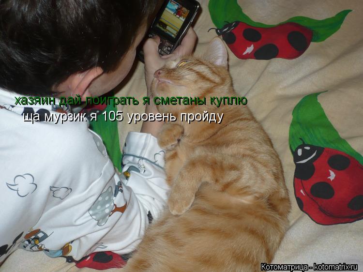 Котоматрица: хазяин дай поиграть я сметаны куплю ща мурзик я 105 уровень пройду