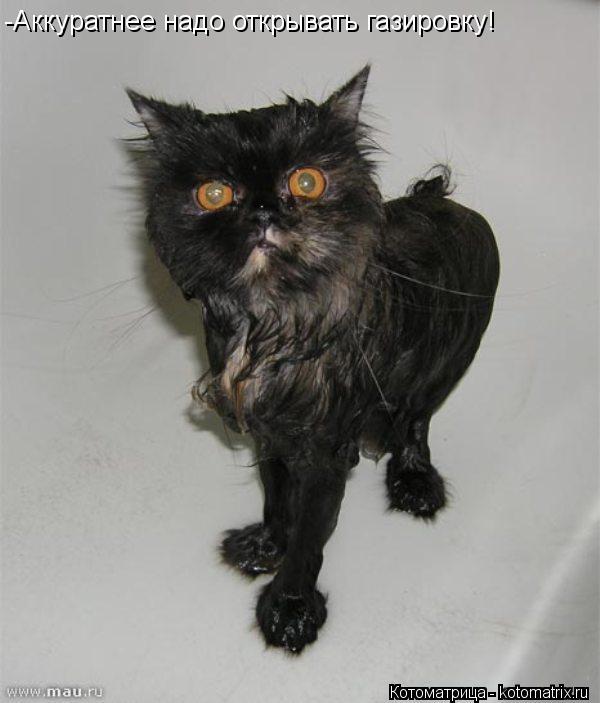 -Аккуратнее надо открывать газировку!... Котоматрица: -Аккуратнее надо открывать газировку!