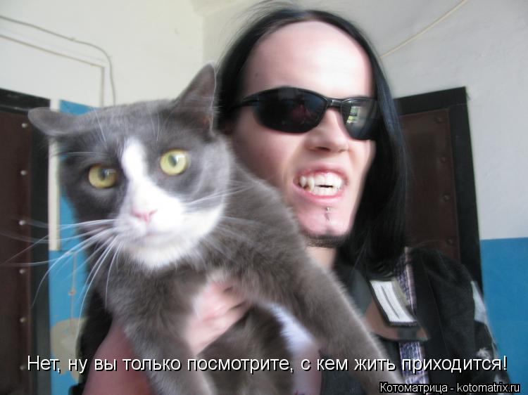 Котоматрица: Нет, ну вы только посмотрите, с кем жить приходится!