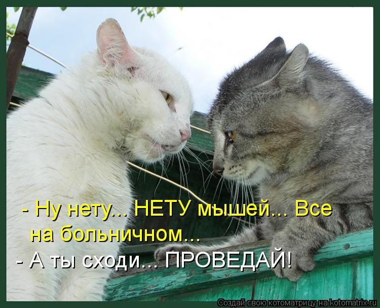 Котоматрица: - Ну нету... НЕТУ мышей... Все на больничном... - А ты сходи... ПРОВЕДАЙ!