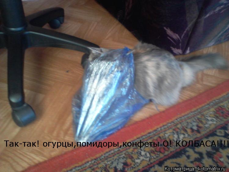Котоматрица: Так-так! огурцы,помидоры,конфеты О! КОЛБАСА!!!!