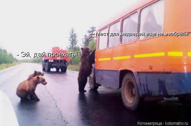 Котоматрица: - Эй, дай проехать! - Мест для медведей еще не изобрели!