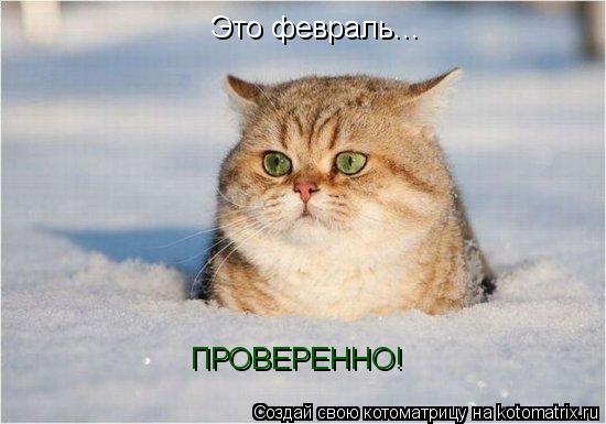 Котоматрица: Это февраль... ПРОВЕРЕННО!