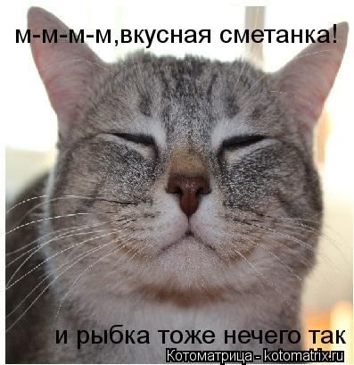 Котоматрица: м-м-м-м,вкусная сметанка! и рыбка тоже нечего так