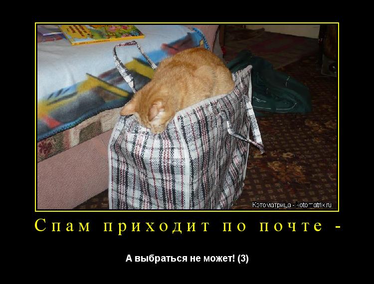 Котоматрица: Спам приходит по почте - А выбраться не может! (3)