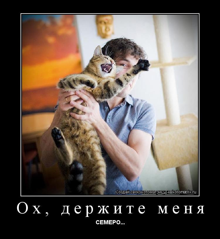 Котоматрица: Ох, держите меня СЕМЕРО...