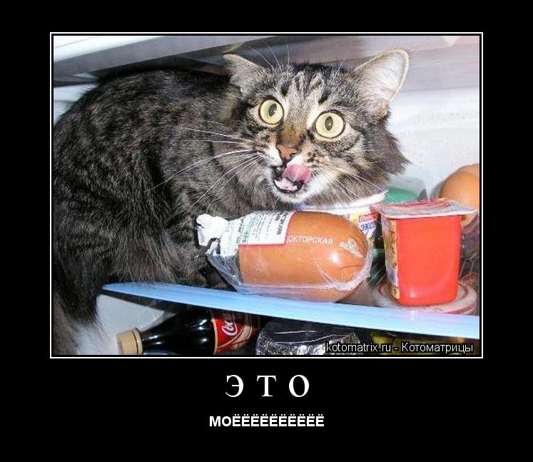 Котоматрица: это МОЁЁЁЁЁЁЁЁЁЁ