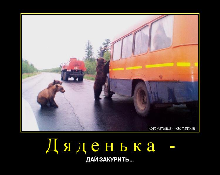 Котоматрица: Дяденька - ДАЙ ЗАКУРИТЬ...