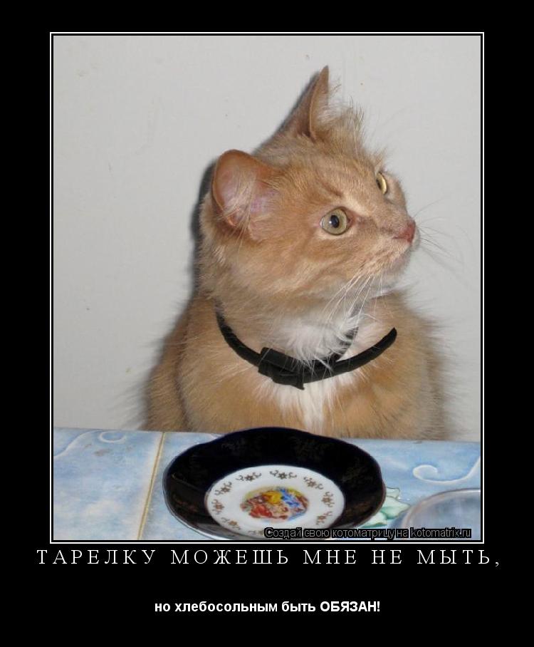 ТАРЕЛКУ МОЖЕШЬ МНЕ НЕ МЫТЬ, но хлебосольным быть ОБЯЗАН!... Котоматрица: ТАРЕЛКУ МОЖЕШЬ МНЕ НЕ МЫТЬ, но хлебосольным быть ОБЯЗАН!