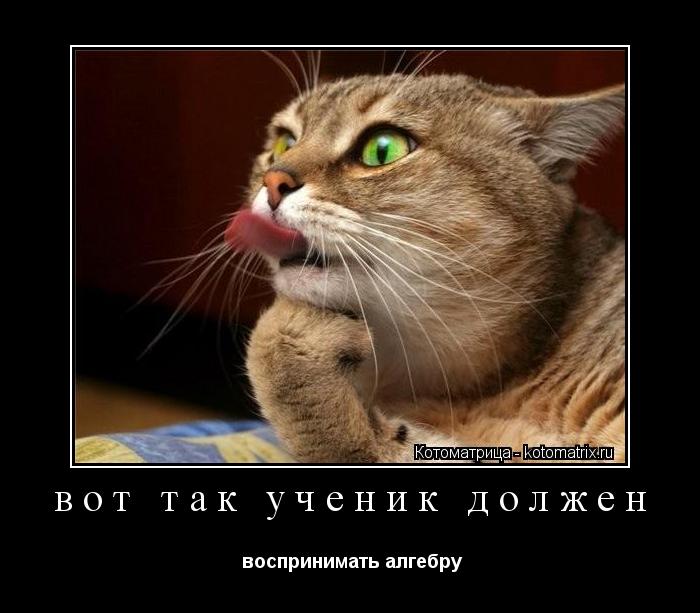 Котоматрица: вот так ученик должен  воспринимать алгебру