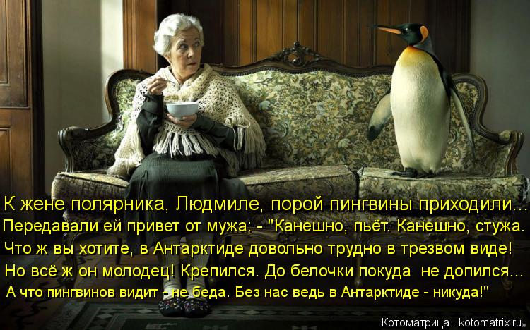 Котоматрица: К жене полярника, Людмиле, порой пингвины приходили...  Передавали ей привет от мужа: - "Канешно, пьёт. Канешно, стужа. Что ж вы хотите, в Антарк